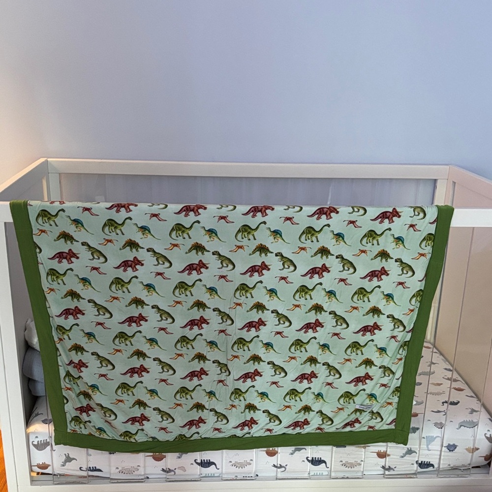 Posh peanut Dinosaur Print Baby Blanket with Green Trim